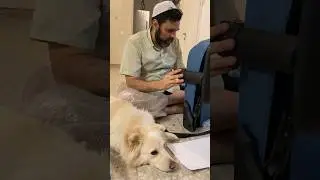 תלמדו לבקש.