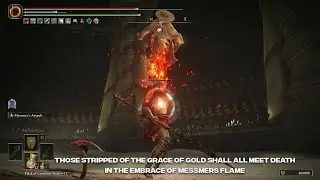 This is How Souls Boss Fight Look From Boss Perspective