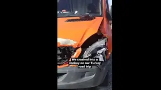 We crashed into a donkey in our camper van