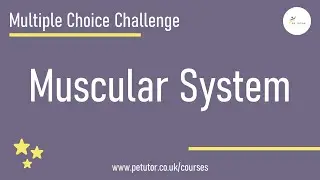 GCSE PE: Multiple Choice Challenge - Isotonic Muscle Contraction