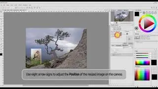 Image Resizing in AliveColors