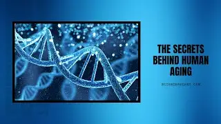The Secrets Behind Human Aging