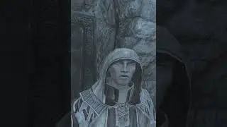 [ Modded Skyrim VR ] psijic what?