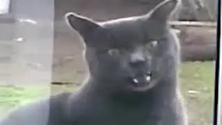 Сань! Саня ну открой