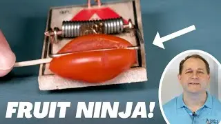 Incredible Kinetic Energy of a Mousetrap in Slow Motion!