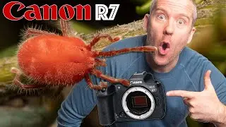 Canon R7 & Laowa 90mm Educational Macro | Dangerous Species Found?!