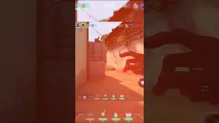 phoenix just better