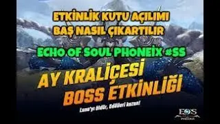 Echo Of Soul Phoneix Ay ışığı festivali[Baş çıkarma]