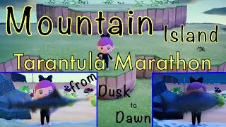 [ACNH] Tarantula Hunting Marathon from Dusk to Dawn on Mountain Island!