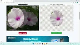 Crop oval shape in image - imageonline.co