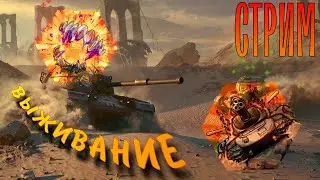 Играю  в режим / Играем в Tanks Blitz