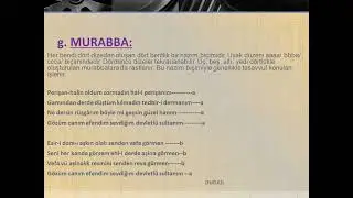 Divan Şiiri Nazım Şekilleri