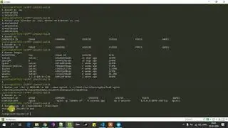 Docker cli | volume and sharing of drives and directories to Container | Rahul Kinge