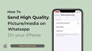 How To Send High Quality Photos On WhatsApp |  iPhone