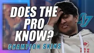 How Well Do Our Players Know Skins?  |  Does The Pro Know: League of Legends Champion Skins