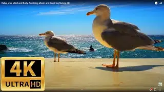 Relax your Mind and Body. Soothing Music and Inspiring Nature 4K