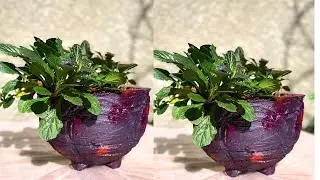 How to make Cement Pot using cloth(With Detailed instructions)/Cement craft Ideas