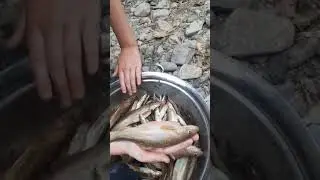 Рыбалка Казахстан видео 8