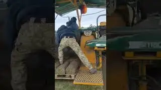 Срез газона
