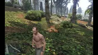 You're no redneck - GTA V