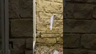 toothbrush