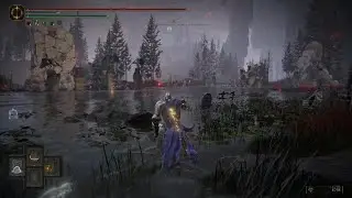 ELDEN RING - Death Rite Bird