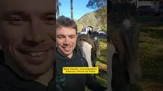 Жизненно, да?) #предприниматель #предпринимательство