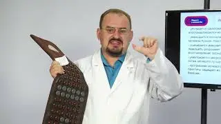 NM90 Нуга Бест. Мочеполовая система. Доктор Голод.