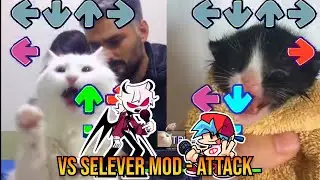 ATTACK Selever BUT TURKISH CAT VS TOWEL KITTEN - FNF Animation  - Mid Fight Masses