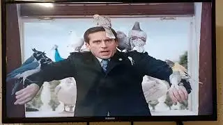 evan almighty birds full screen edition
