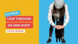 Train Your Cat to Leap Through an Arm Hoop! - 8 Steps to Master this Trick
