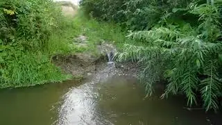 Маленький водопад в лесной реке