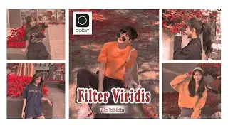 Edit Photo - Polarr Filters Viridis  | Free Filter  Code in Polarr