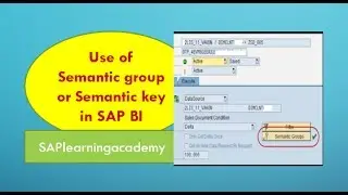 The use of Semantic group or semantic key in SAP BI