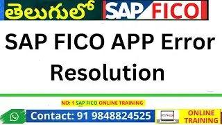 SAP FICO APP Error Resolution - SAP FICO Automatic Payment Program Error Solution -SAP FICO training