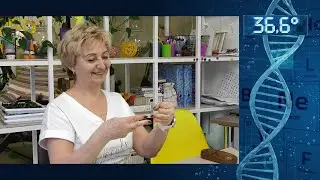 Санаторий - пансионат 