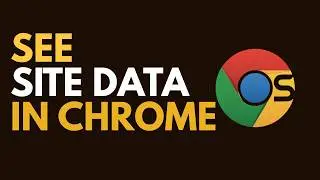 Check Website Data Usage in Chrome (See What Sites Store!)