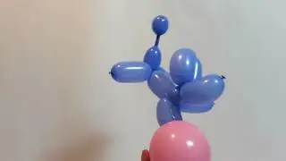 玉乗りする犬　dog to ride