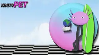проходим KinitoPET
