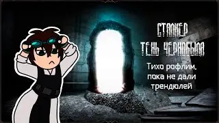 • STREAM • [STALKER Тень Чернобыля] Быстрый сюжет?