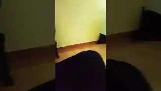 22 декабря 2023 г.