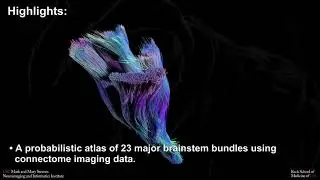 The Beautiful Brainstem