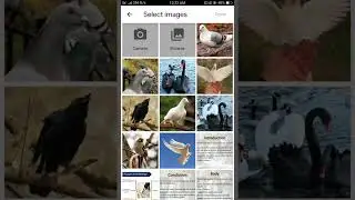 How to Convert any Image to PDF 