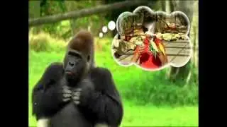 Zoo Miami