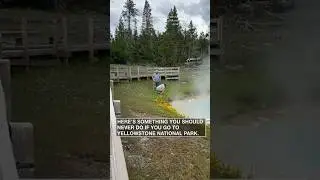 Yellowstone tourists behaving badly (again) | #shorts #newvideo #trending #subscribe #youtube