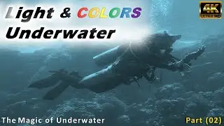 02-Discover the Magic of Underwater Part (02) - How light Transforms the Diving Experience?