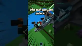 обычный день для роблокса ;)