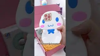 Sanrio Package 😍😍#sanrio