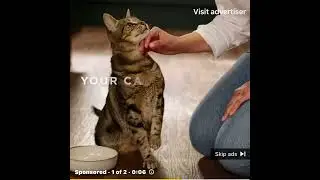Reveal Cat Food November 2023 YouTube Ad