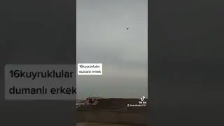 16kuyruklular serisi başladı